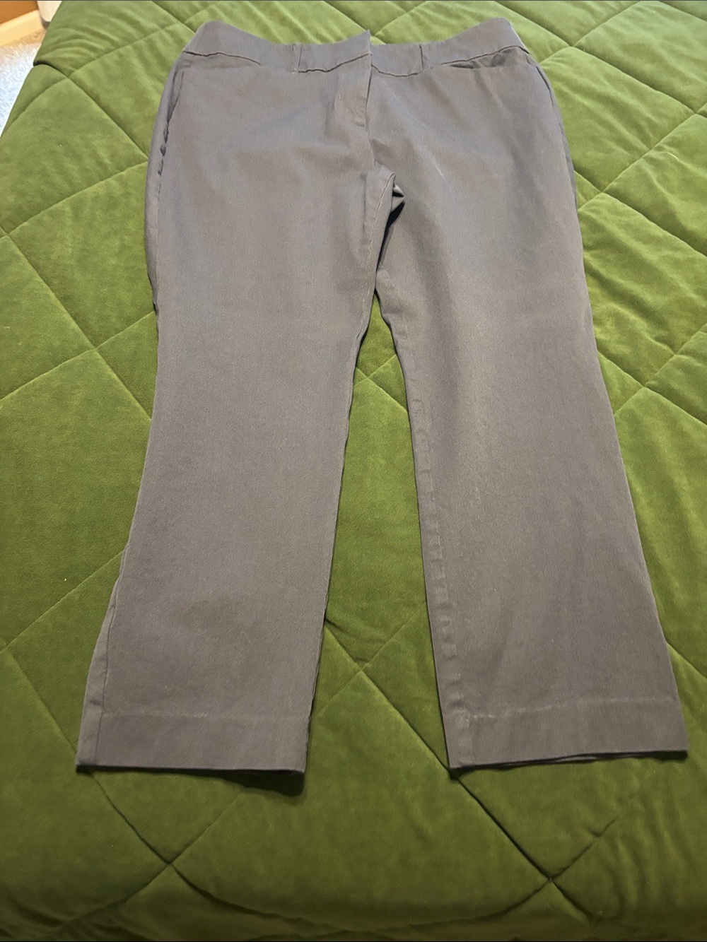 LOFT Women's Navy Ankle-Length Cropped Pants